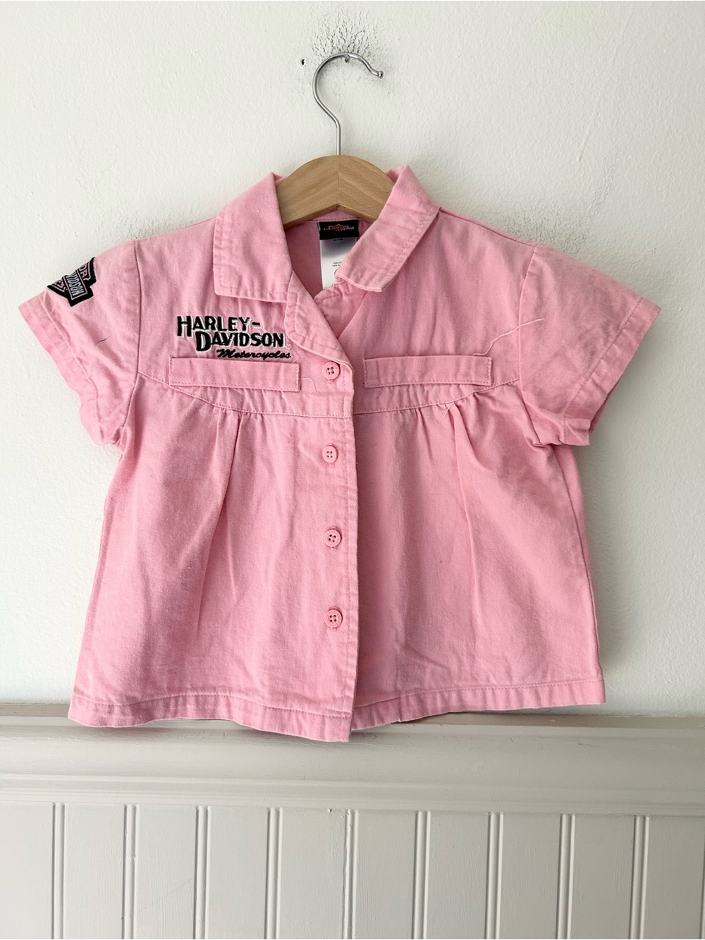 Vintage Harley-Davidson 2T Pink Button Down Shirt Back Graphic